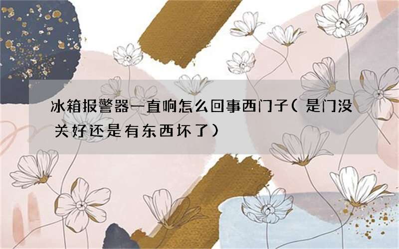 冰箱报警器一直响怎么回事西门子(是门没关好还是有东西坏了)