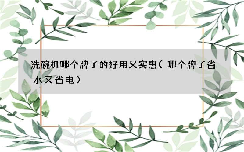 洗碗机哪个牌子的好用又实惠(哪个牌子省水又省电)