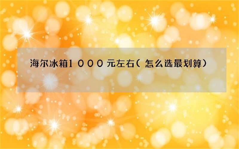 海尔冰箱1000元左右(怎么选最划算)